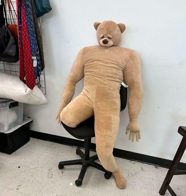 6800fa634b3eb_funny-interesting-goodwill-finds