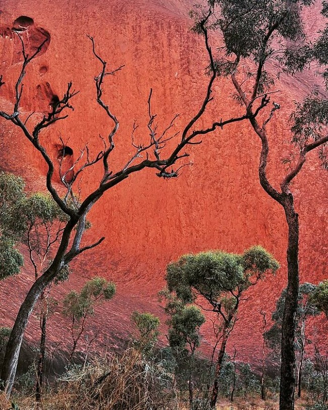 stunning-earth-pics-655dcc1646f9f__700