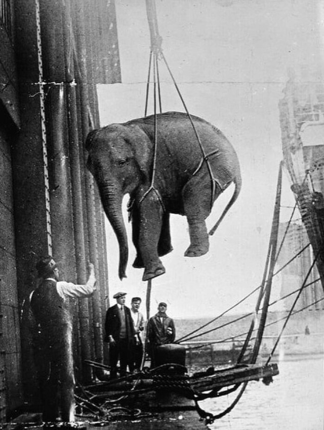 68624bb172c0b_historical-old-pictures