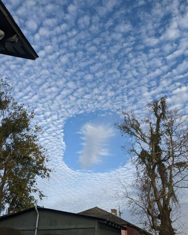 interesting-weird-funny-things-f(1)