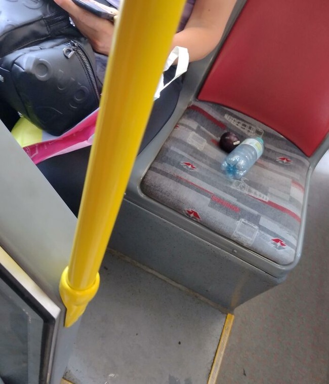 6745705c91fca_infuriating-public-transport-passengers