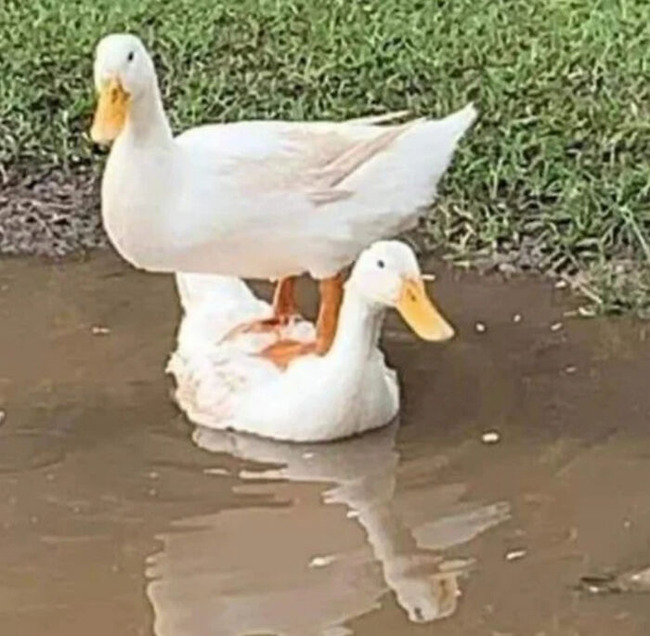 Things-Make-Go-Hm-facebook-62de4c966d0fa__700