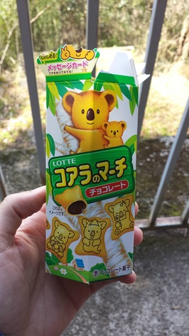 24 - Lotte Koala cookies 13