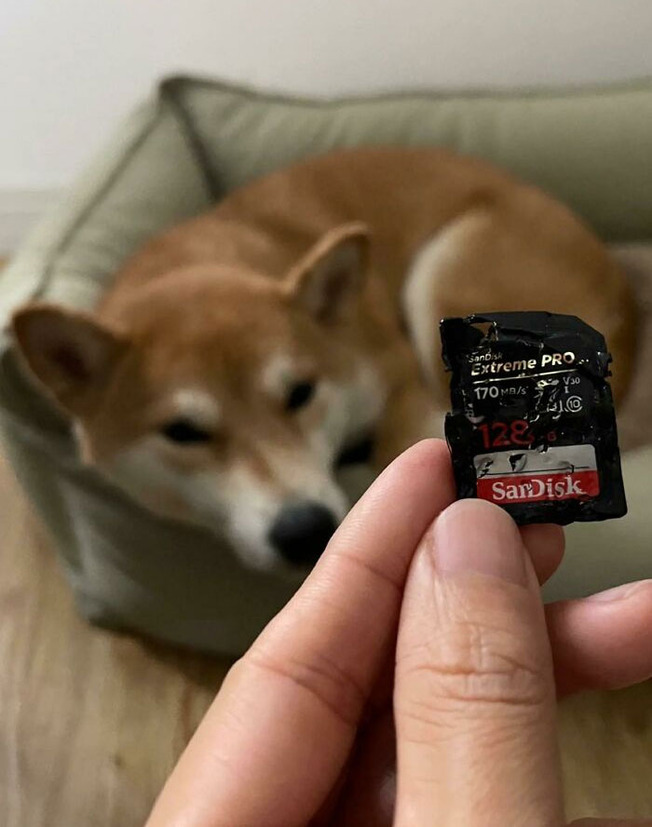 funny-accidents-bad-day-fails-3-61f28e595e09b__700