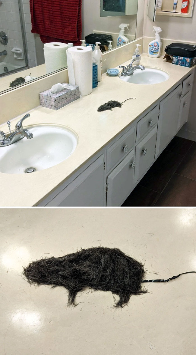 funny-husbands-boyfriends-29-6482fbf88c03a__700