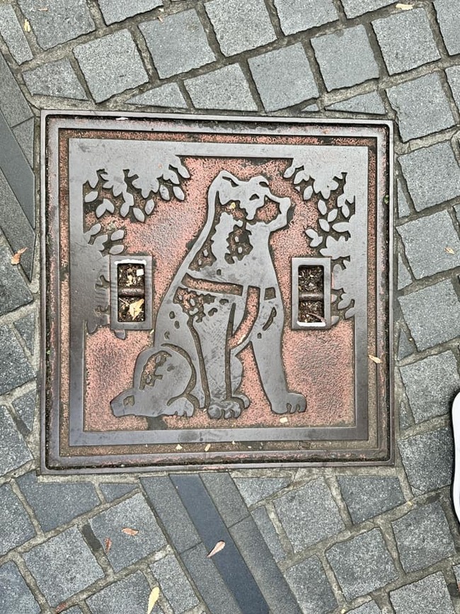 427471958_10233623114020218_6575122950973577617_n