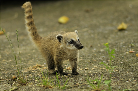 tumblr_mlrzvrPCSw1rw6hhbo1_1280