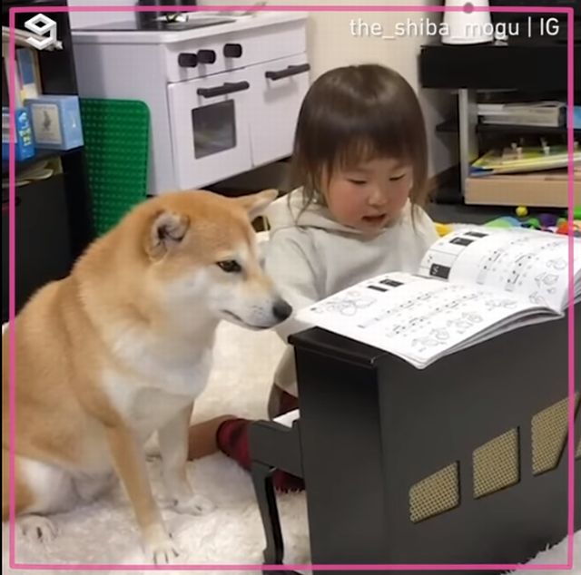 192608433_5589224247815353_3890691150789251580_n