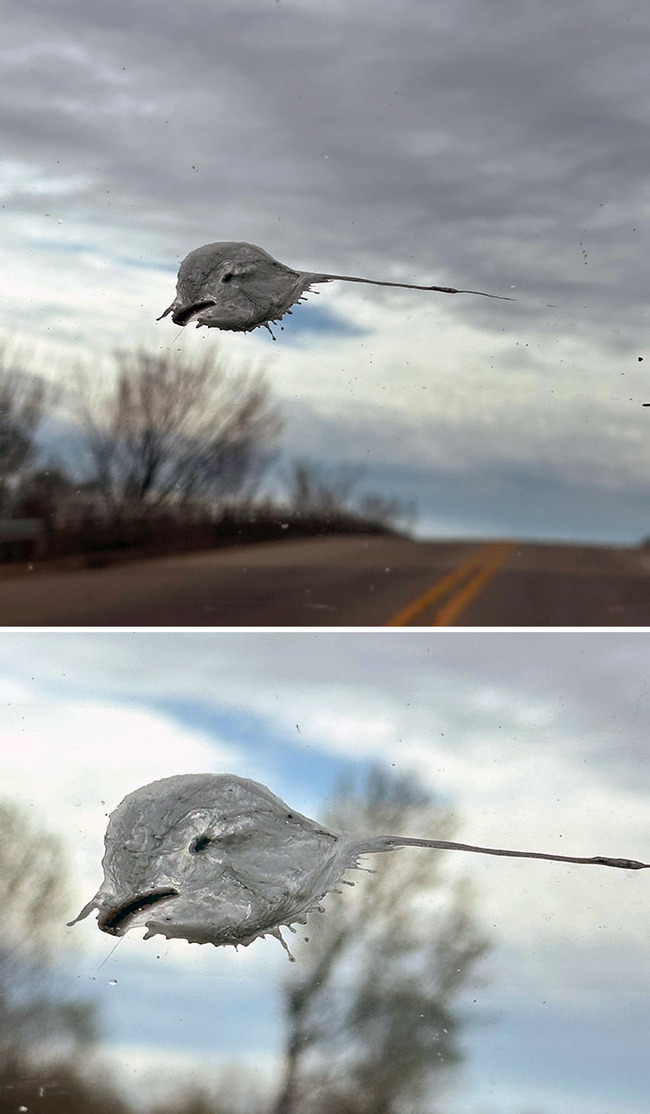 interesting-pareidolia-pics-3-668533bf04fd2__700