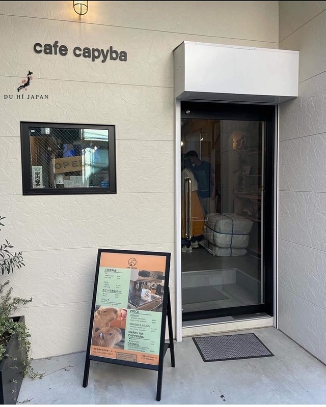 486525583_704804735214549_683224