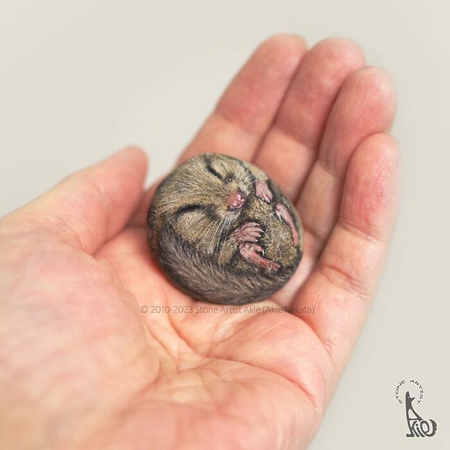 Japanese-artist-turns-rocks-into-cute-little-animals-New-Pics