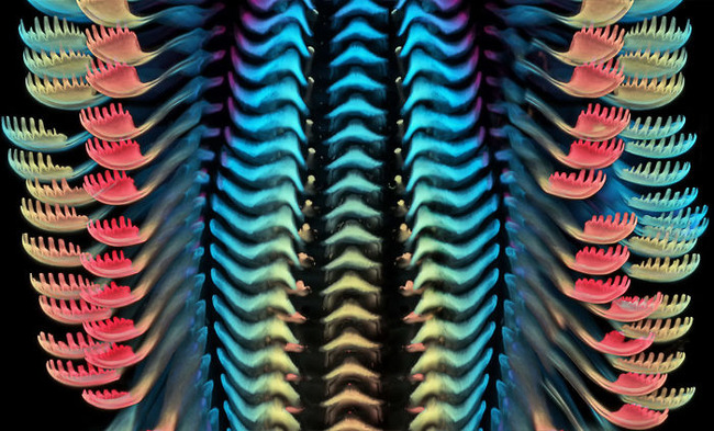 3-5f8d465346e34__700