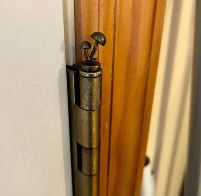 113-68d504345f6ac__700