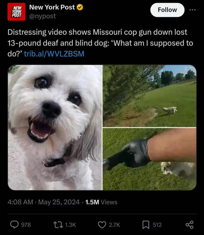 1717244425485944