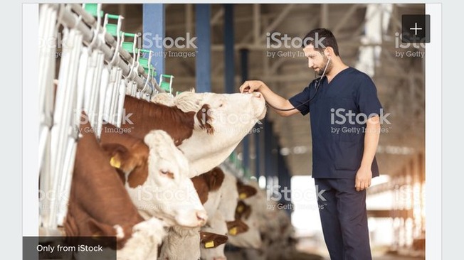 funny-bad-jobs-stock-photos
