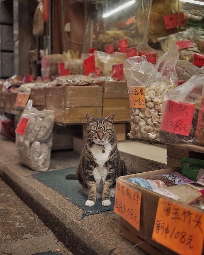 240878994_2956334547961774_719154266381977702_n