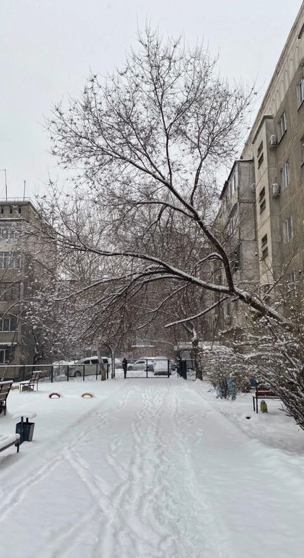 photos of your neighborhood that you took