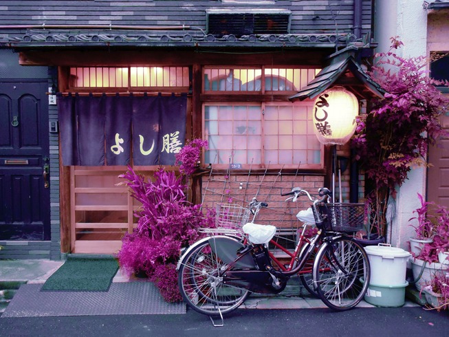 103107403_3557741414253388_2276377164027899330_o