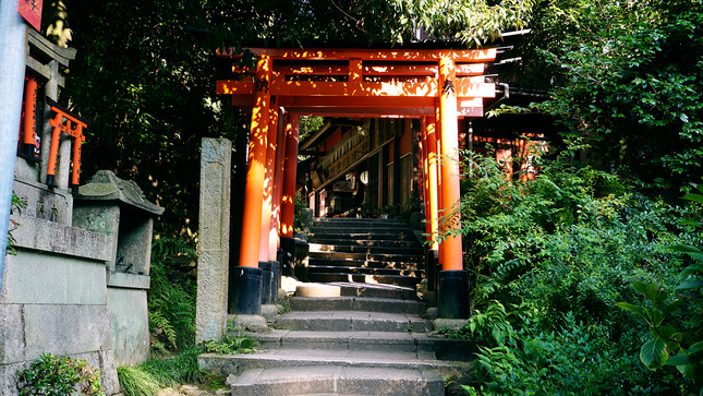 22 - Kyoto - Fushimi Inari Shrine