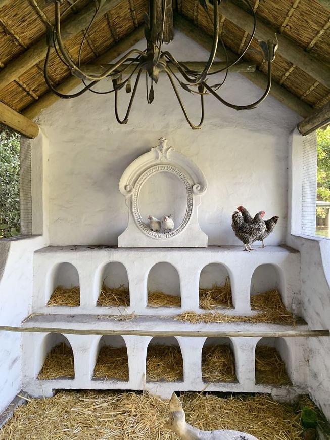 creative-chicken-coops-designs-11-5f0d90f5d9663__700