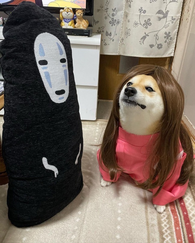 280426623_10162216096096840_2256907957180384503_n