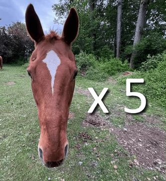 forgot-his-ass-wunk-v0-ls74w5on6