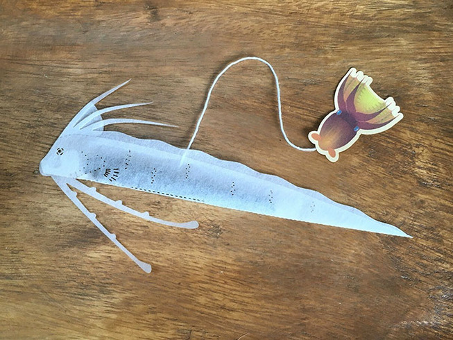squid-octopus-ocean-teabags-japan-8-5d089d718070d__700
