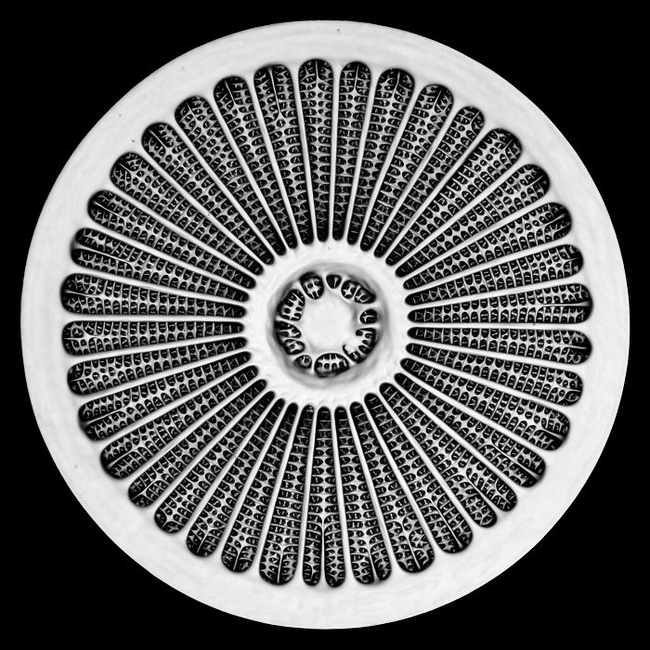 19-5f8d4673d5071__700