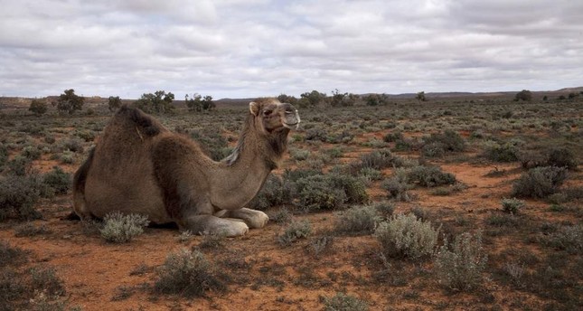 645x344-1578648530503