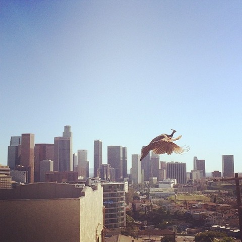 tumblr_n3n12bkxNt1qzvr1to1_1280