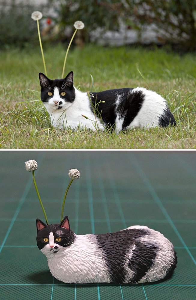 funny-animals-sculptures-meetissai-3-5e42842485331__700