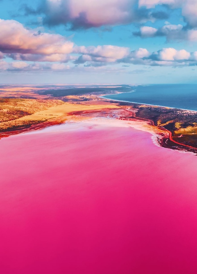 Magic-pink-lagoon-in-Western-Australia-5c6df012b1a14__880