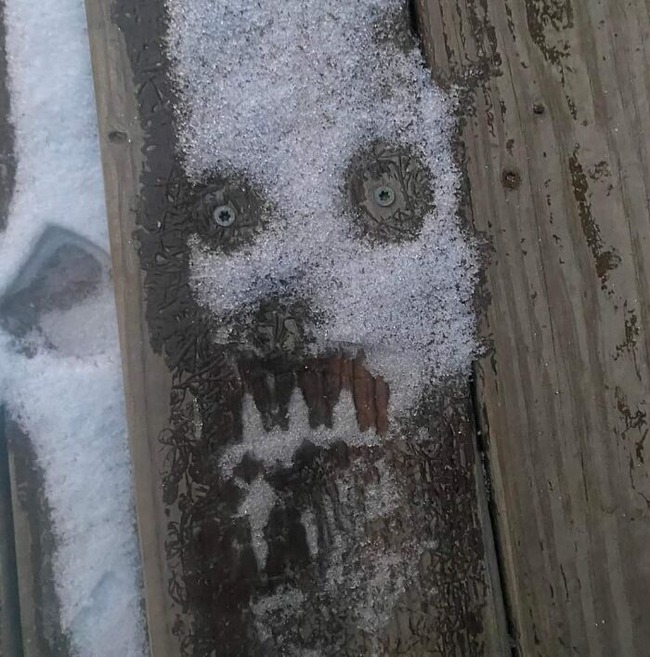 67865a909588a_pareidolia-pictures