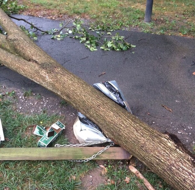 6892083be4c0a_wild-unlucky-weather-pics__700