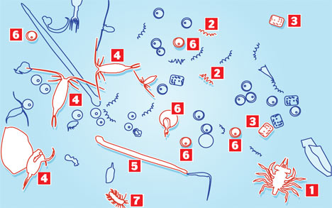 sealifekeyDM0511_468x293 (1)