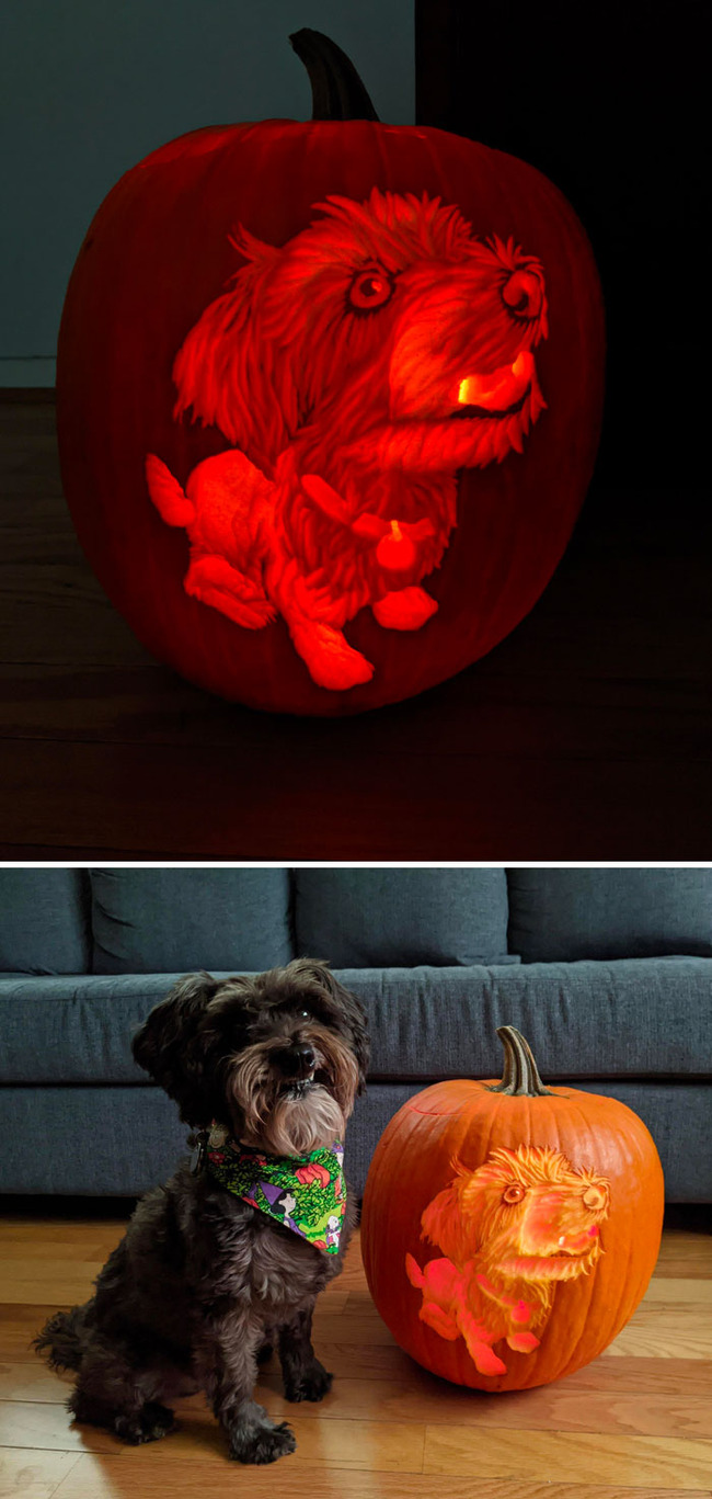 creative-pumpkins-halloween-32-6527976b8a5ed__700 (1)