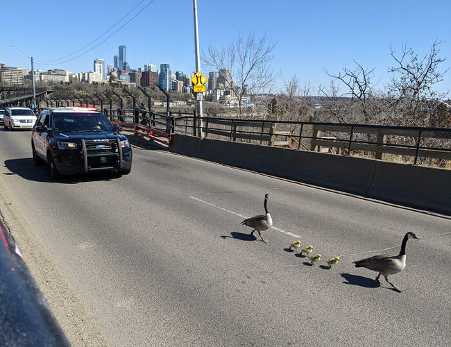 67c8160e843ce_just-canada-things