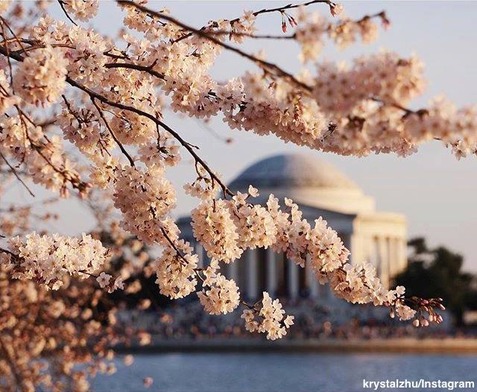 12418052_10154249162863812_4965927503297167368_n