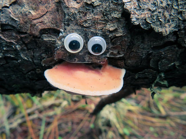 Eyebombing-Googly-Eyes-621dfade08366-png__700