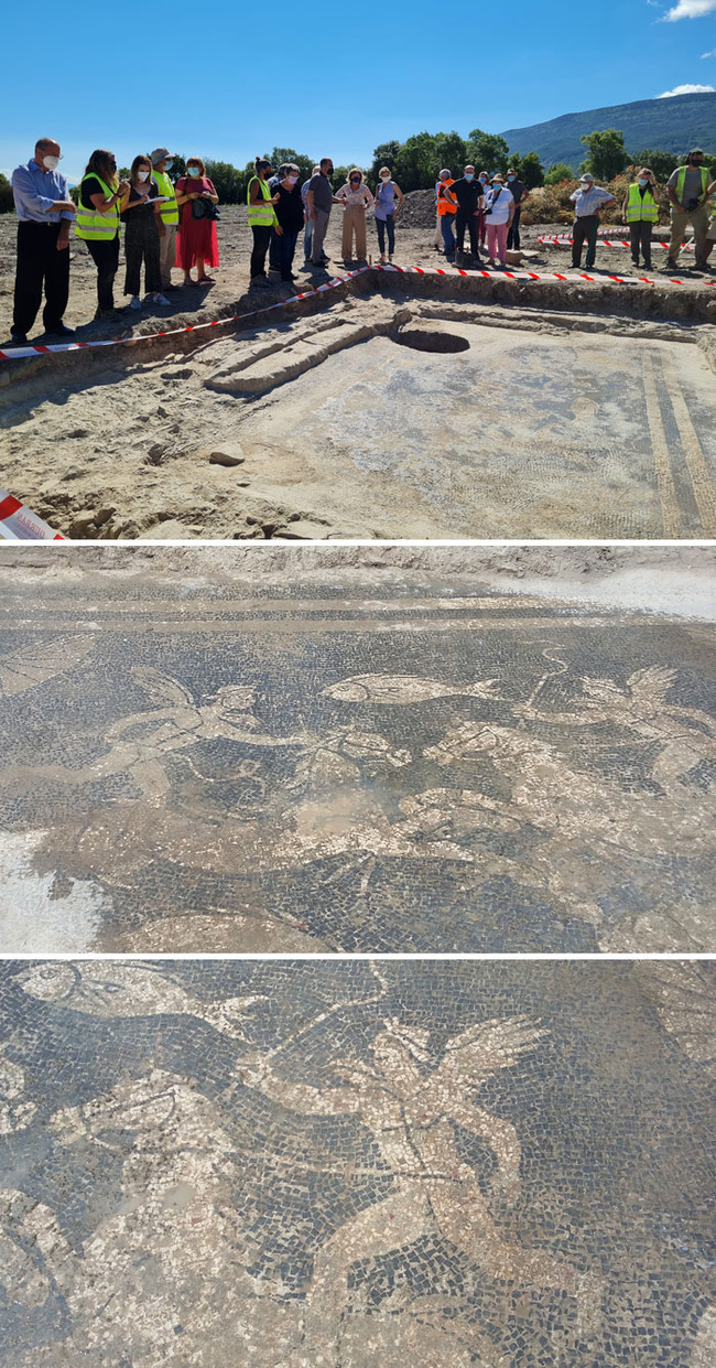 interesting-archaeological-finds-6-655b314c19cfe__700