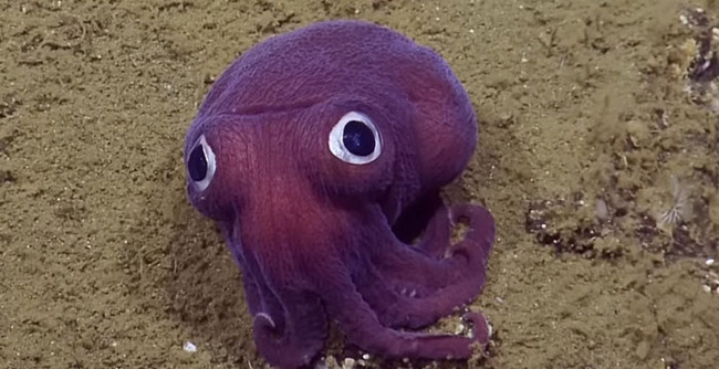 scary-ocean-photos-31-65648fd27da31__700