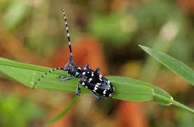 ダウンロード (1)