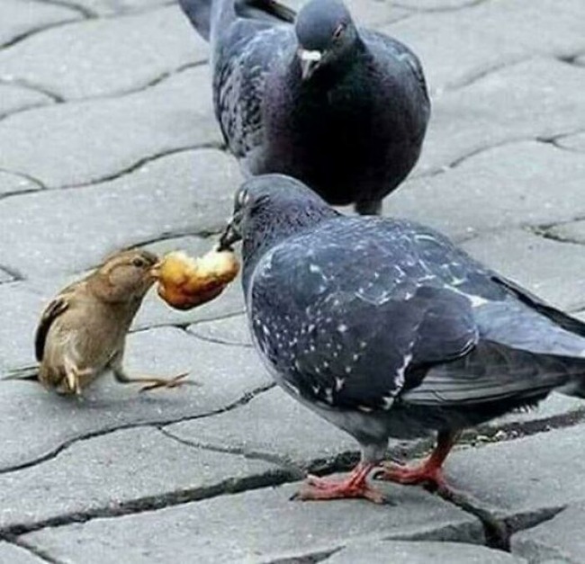 6707638a995df_wi3d7fbnnntd1-jpeg__700