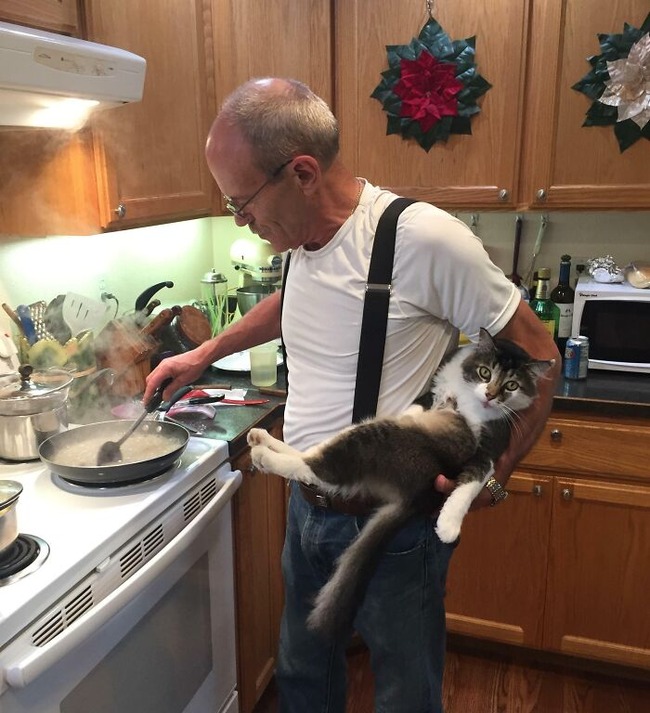 66bcb0dabbfb7_cool-grandpas