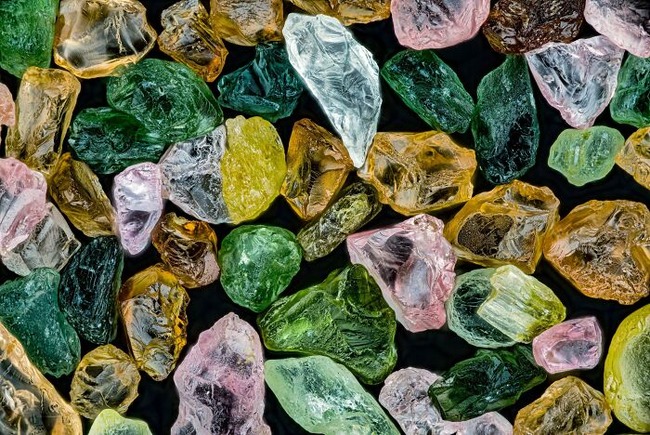Nikon-Small-World-Microphotography-2022-Winners-Announced
