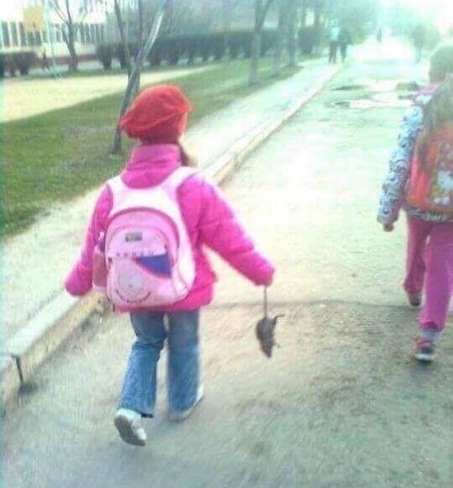 B6dmdmFnK62-png__700