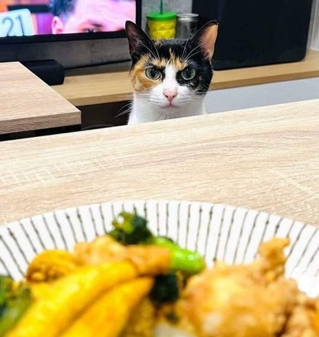 67b3456866244_you-eat-but-didnt-invite-me