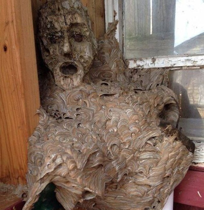 6551f27a4d1fd_unsettling-things-people-found