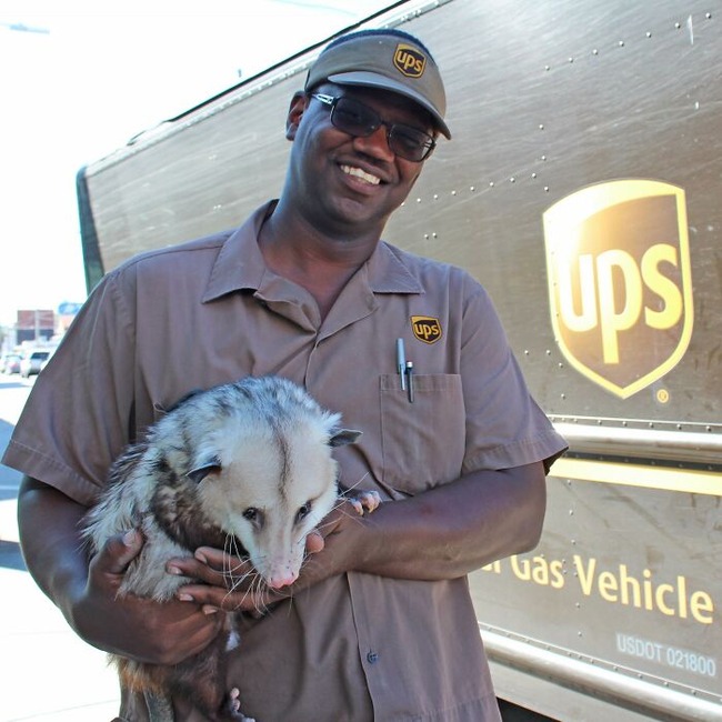 ups-drivers-meet-animals-best-of-all-time-15-6666a2e707a17__700