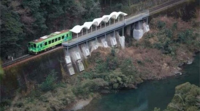 81LM6iAD-gL._AC_SL1500_